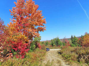 Nova Scotia - West Side Country Harbour - 52-Hekta - 