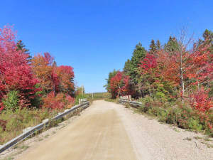 Nova Scotia - West Side Country Harbour - 52-Hekta - 