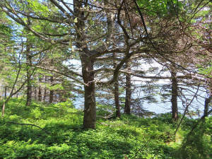 Nova Scotia - Guysborough County - Herrliche Atlan - 