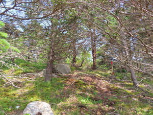 Nova Scotia - Guysborough County - Herrliche Atlan - 