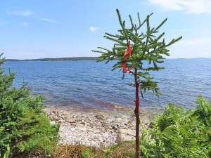 Nova Scotia - Guysborough County - Herrliche Atlan - 