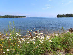 Nova Scotia - Guysborough County - Herrliche Atlan - 