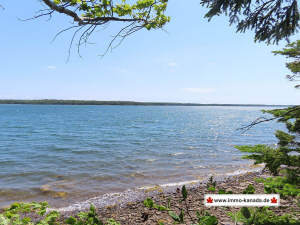 Cape Breton - Traumhaft schöne Atlantik-Lage - Lot - Cape Breton - Wunderschönes Atlantik-Ufer-Grundstück - 12.900 m²