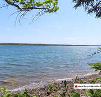 Cape Breton - Wunderschönes Atlantik-Ufer-Grundstück - 12.900 m² - Louisdale