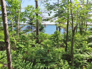 Cape Breton - Traumhaft schöne Atlantik-Lage - Lot - 