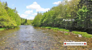 Cape Breton - Traumhaft schöne Naturlage am Middle - Cape Breton - Traumhaft schöne Naturlage am Middle River - Ein Paradies nicht nur für Fliegenfischer!