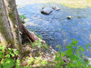 Cape Breton - Traumhaft schöne Naturlage am Middle - 