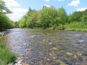 Cape Breton - Traumhaft schöne Naturlage am Middle - 
