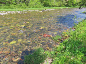 Cape Breton - Traumhaft schöne Naturlage am Middle - 