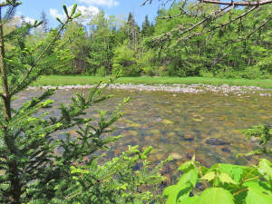 Cape Breton - Traumhaft schöne Naturlage am Middle - 