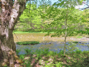 Cape Breton - Traumhaft schöne Naturlage am Middle - 
