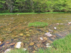Cape Breton - Traumhaft schöne Naturlage am Middle - 