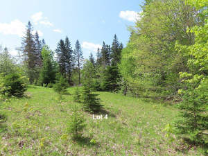 Cape Breton - Traumhaft schöne Naturlage am Middle - 