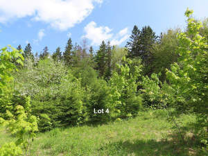 Cape Breton - Traumhaft schöne Naturlage am Middle - 