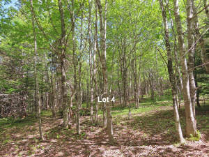 Cape Breton - Traumhaft schöne Naturlage am Middle - 