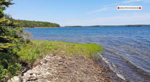 Cape Breton - Lennox Passage - Wunderschönes Atlan - Grundstück zum Kaufen in Louisdale
