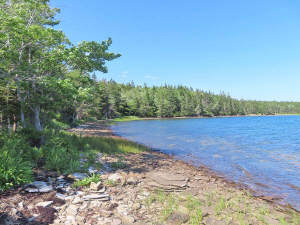 Cape Breton - Lennox Passage - Wunderschönes Atlan - 