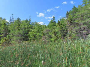 Cape Breton - Lennox Passage - Wunderschönes Atlan - 
