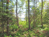 Cape Breton - Lennox Passage - Wunderschönes Atlan - 