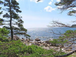 Nova Scotia - Grover´s Point - Wunderschönes Uferg - 