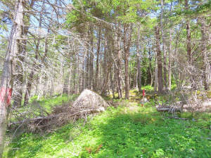 Nova Scotia - Grover´s Point - Wunderschönes Uferg - 