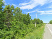 Cape Breton - Top-Investment-Gelegenheit - Komplet - Grundstück zum Kaufen in Louisdale