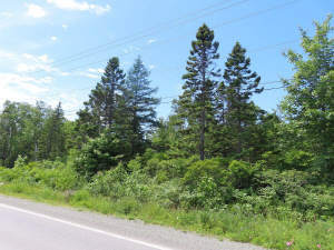 Cape Breton - Top-Investment-Gelegenheit - Komplet - Grundstück in Louisdale zum Kaufen