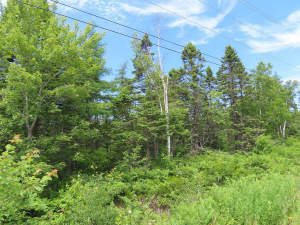 Cape Breton - Top-Investment-Gelegenheit - Komplet - 