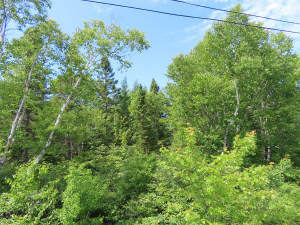 Cape Breton - Top-Investment-Gelegenheit - Komplet - 