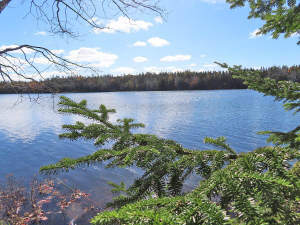 Cape Breton - 3,1 Hektar großes See-Ufergrundstück - Grundstück in Loch Lomond zum Kaufen