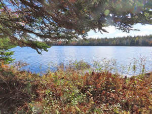 Cape Breton - 3,1 Hektar großes See-Ufergrundstück - 