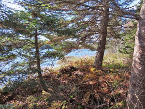 Cape Breton - 3,1 Hektar großes See-Ufergrundstück - 