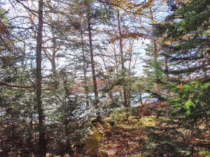 Cape Breton - 3,1 Hektar großes See-Ufergrundstück - 