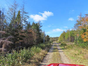 Cape Breton - 3,1 Hektar großes See-Ufergrundstück - 