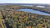 Cape Breton - 3,1 Hektar großes See-Ufergrundstück - 