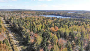 Cape Breton - 3,1 Hektar großes See-Ufergrundstück - 