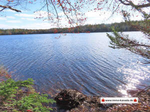 Cape Breton - 3,1 Hektar großes See-Ufergrundstück - Grundstück zum Kaufen in Loch Lomond