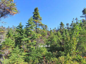 Cape Breton - Traumlage am Atlantik - 11.761 m² mi - 