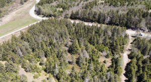 Cape Breton - 11,4 Hektar inmitten einer herrliche - 