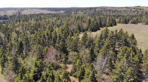 Cape Breton - 11,4 Hektar inmitten einer herrliche - 