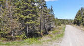 Cape Breton - 11,4 Hektar inmitten einer herrliche - 