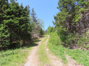 Cape Breton - 11,4 Hektar inmitten einer herrliche - Grundstück in Upper Grand Mira