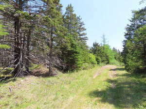 Cape Breton - 11,4 Hektar inmitten einer herrliche - 