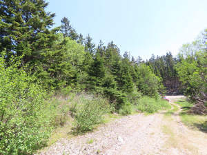 Cape Breton - 11,4 Hektar inmitten einer herrliche - 