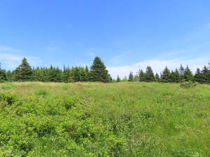 Cape Breton - Soldiers Cove - 13,6 Hektar-Areal mi - 