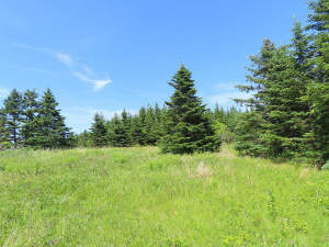 Cape Breton - Soldiers Cove - 13,6 Hektar-Areal mi - 