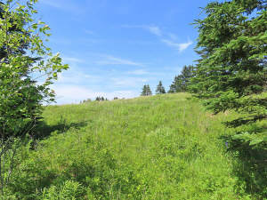 Cape Breton - Soldiers Cove - 13,6 Hektar-Areal mi - 