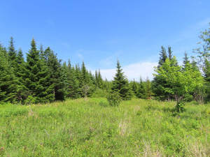 Cape Breton - Soldiers Cove - 13,6 Hektar-Areal mi - 