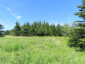 Cape Breton - Soldiers Cove - 13,6 Hektar-Areal mi - 
