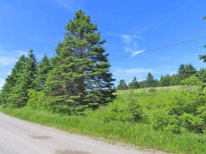 Cape Breton - Soldiers Cove - 13,6 Hektar-Areal mi - 